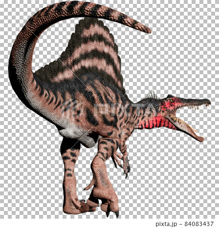 スピノサウルス☆Spinosaurus 84083437