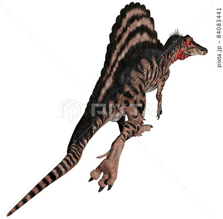 スピノサウルス☆Spinosaurus スピノサウルス☆Spinosaurus 84083441