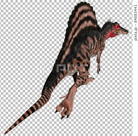 スピノサウルス☆Spinosaurus スピノサウルス☆Spinosaurus 84083441