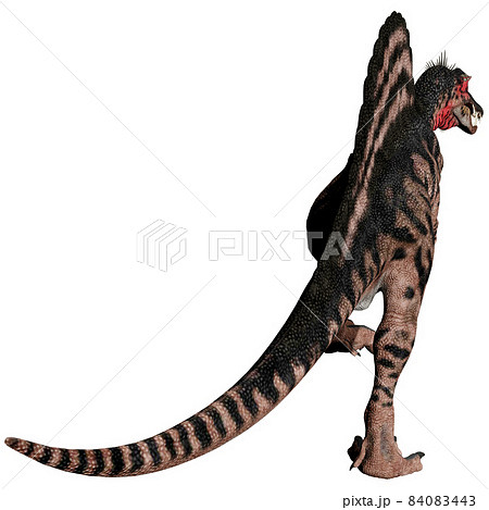 スピノサウルス☆Spinosaurus 84083443