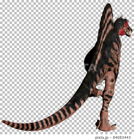 スピノサウルス☆Spinosaurus 84083443