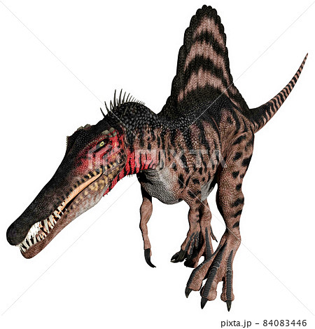 スピノサウルス Spinosaurusのイラスト素材