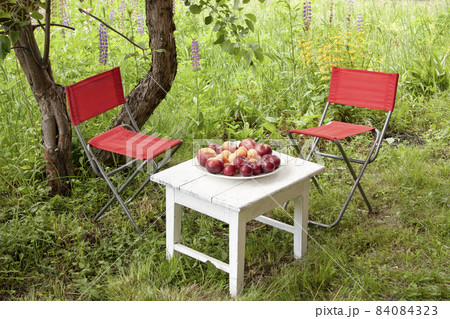White small table, red folding chairs made of fabric on the grass. Fruit plate - plums, apples, apricots. Summer relaxation in the garden. White small table, red folding chairs made of fabric on the grass. Fruit plate - plums, apples, apricots. Summer relaxation in the garden. 84084323