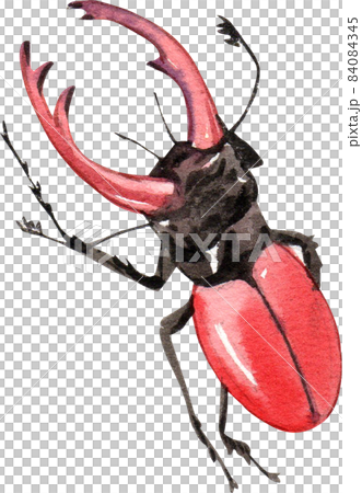 Watercolor hand painted cartoon bugs, beetles, insects 84084345