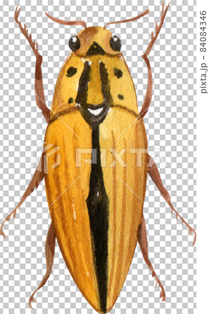 Watercolor hand painted cartoon bugs, beetles, insects Watercolor hand painted cartoon bugs, beetles, insects 84084346