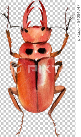 Watercolor hand painted cartoon bugs, beetles, insects Watercolor hand painted cartoon bugs, beetles, insects 84084347