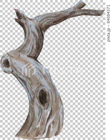 Dead tree , stump tree ,old timber , Piece of Dry tree branch isolated watercolor 84084371