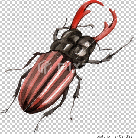 Watercolor hand painted cartoon bugs, beetles, insects 84084382