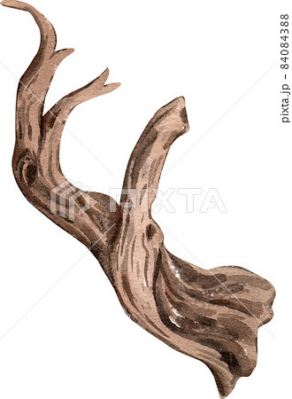 Dead tree , stump tree ,old timber , Piece of Dry tree branch isolated watercolor 84084388