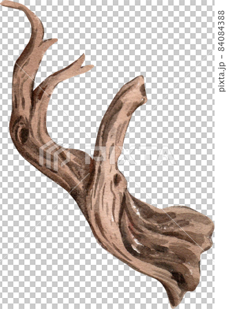 Dead tree , stump tree ,old timber , Piece of Dry tree branch isolated watercolor 84084388