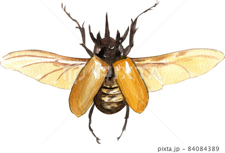 Watercolor hand painted cartoon bugs, beetles, insects 84084389