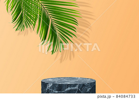 Empty space studio room of Black marble stage with green palm. 84084733