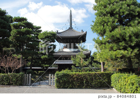 京都　近衛天皇　安樂壽院南陵 84084801