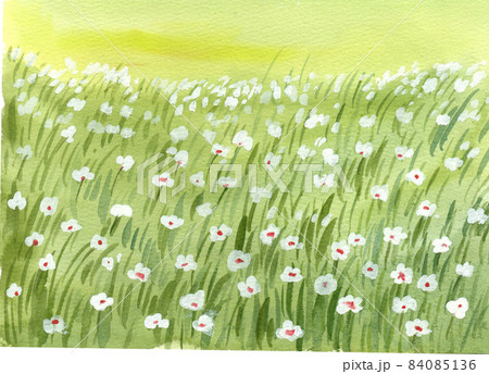 Green grass field watercolor Green grass field watercolor 84085136