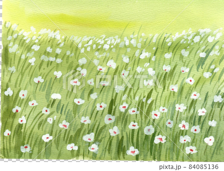 Green grass field watercolor Green grass field watercolor 84085136