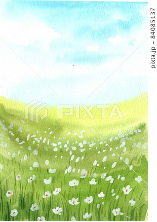 Green grass field watercolor 84085137
