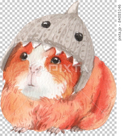 Guinea Pig Watercolor illustration isolated 84085146