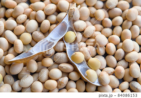 soybean pod soybean pod 84086153