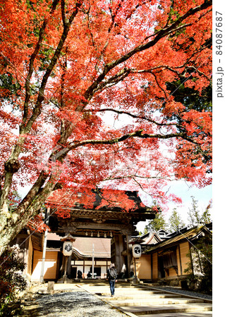 高野山金剛峯寺(正門)   【和歌山県伊都郡高野町高野山】 84087687