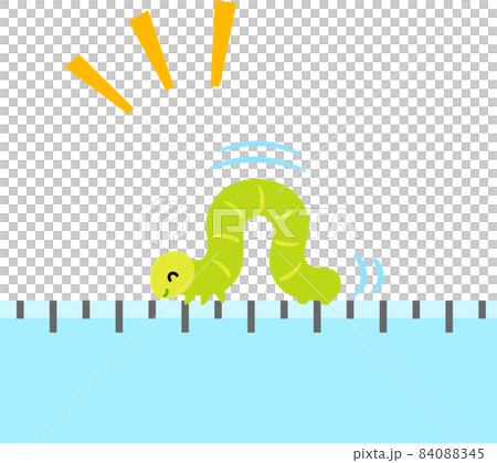 Inchworm walking on a ruler, measurement 84088345