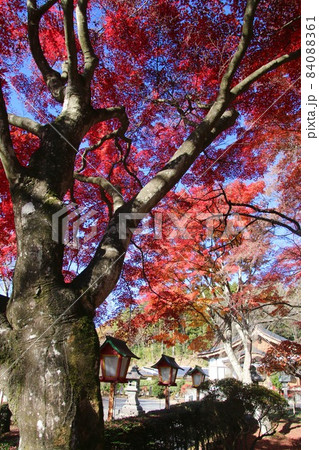 秋の南湖神社（福島県・白河市） 84088361
