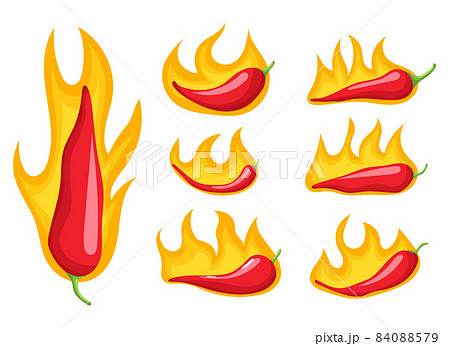 Spicy pepper vector design illustration isolated on white background Spicy pepper vector design illustration isolated on white background 84088579