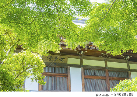 鎌倉 報国寺 迦葉堂 鎌倉 報国寺 迦葉堂 84089589