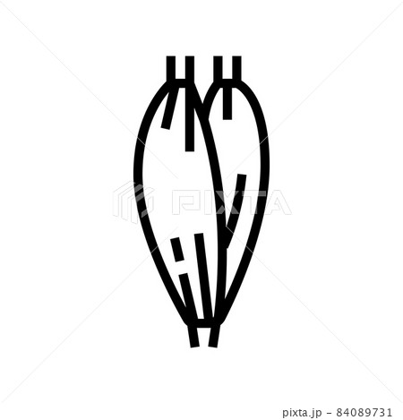 muscle human anatomy line icon vector illustration 84089731