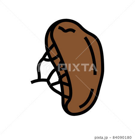 spleen human organ color icon vector illustration spleen human organ color icon vector illustration 84090180