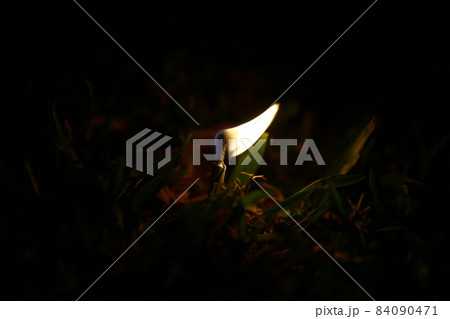 キャンドル ロウソク ろうそく 84090471