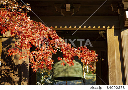 海蔵寺 紅葉の風景 鐘楼 海蔵寺 紅葉の風景 鐘楼 84090828