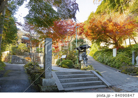海蔵寺 山門 海蔵寺 山門 84090847