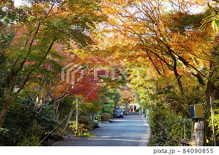 海蔵寺へ続く道 海蔵寺へ続く道 84090855