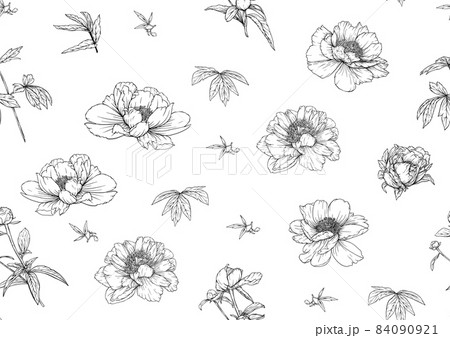 Peonies flowers. Seamless pattern, background. Outline hand drawing vector  84090921