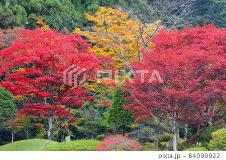 栃木県日光市山内 日光東照宮付近の紅葉 栃木県日光市山内 日光東照宮付近の紅葉 84090922