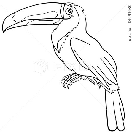 cartoon toucan bird animal character coloring book page cartoon toucan bird animal character coloring book page 84091630