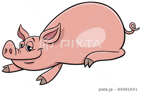 cartoon pig funny farm animal character 84091641