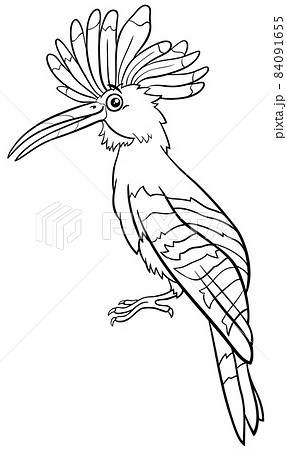 cartoon hoopoe bird animal character coloring book page 84091655