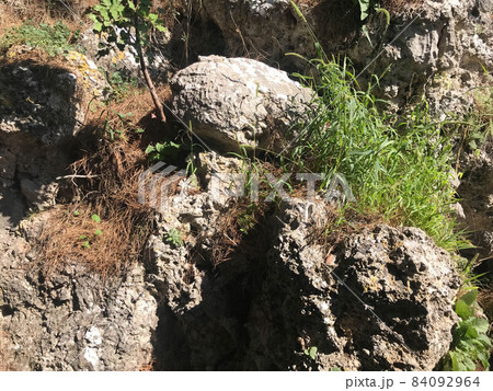growth through big rock, grow through difficult circumstances growth through big rock, grow through difficult circumstances 84092964
