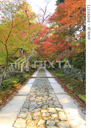 金剛輪寺（近江西国第十五番札所）／ 西谷堂　【滋賀県愛荘町】 84093371