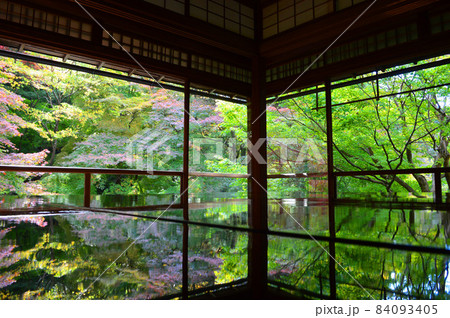 2021年秋の中旬に訪れた京都市瑠璃光院の逆さ紅葉が幻想的で美しい 2021年秋の中旬に訪れた京都市瑠璃光院の逆さ紅葉が幻想的で美しい 84093405