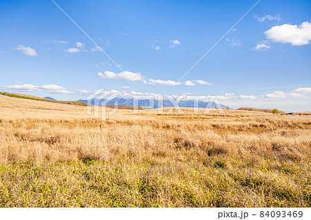 秋の霧ヶ峰高原からの八ヶ岳 秋の霧ヶ峰高原からの八ヶ岳 84093469