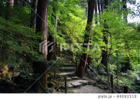 金剛輪寺（近江西国第十五番札所）／ 庭園　【滋賀県愛荘町】 84093519