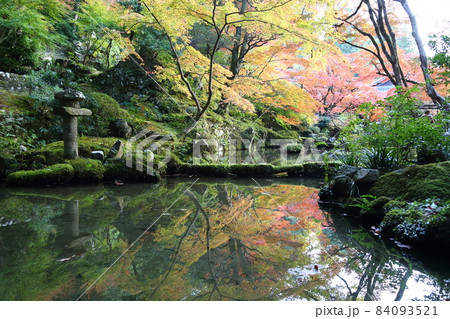 金剛輪寺（近江西国第十五番札所）／ 庭園　【滋賀県愛荘町】 84093521
