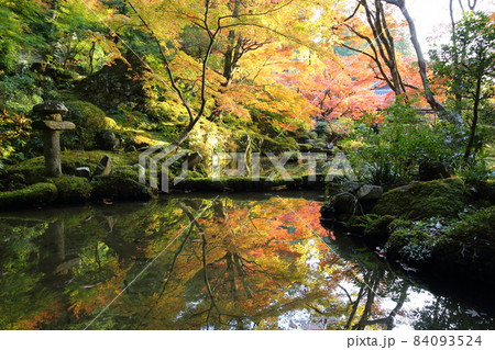 金剛輪寺（近江西国第十五番札所）／ 庭園　【滋賀県愛荘町】 84093524