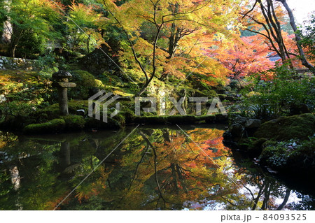 金剛輪寺（近江西国第十五番札所）／ 庭園　【滋賀県愛荘町】 84093525