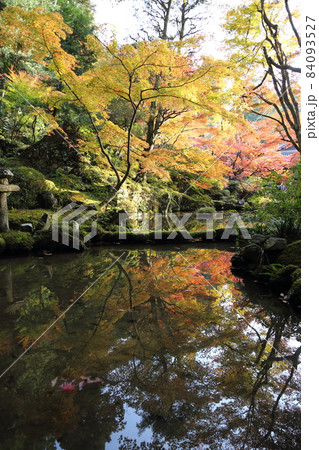 金剛輪寺（近江西国第十五番札所）／ 庭園　【滋賀県愛荘町】 84093527
