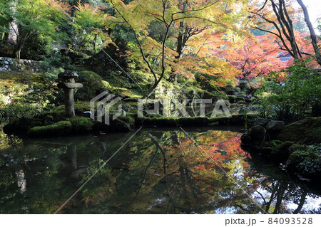 金剛輪寺（近江西国第十五番札所）／ 庭園　【滋賀県愛荘町】 84093528