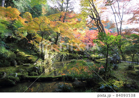 金剛輪寺（近江西国第十五番札所）／ 庭園　【滋賀県愛荘町】 84093538