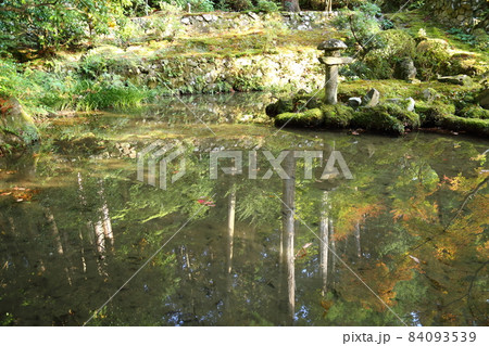 金剛輪寺（近江西国第十五番札所）／ 庭園　【滋賀県愛荘町】 84093539
